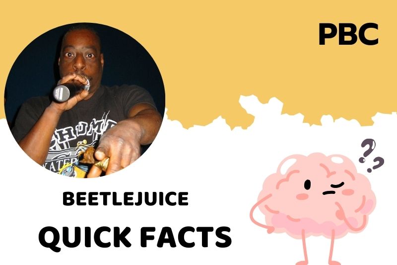 Beetle cute facts