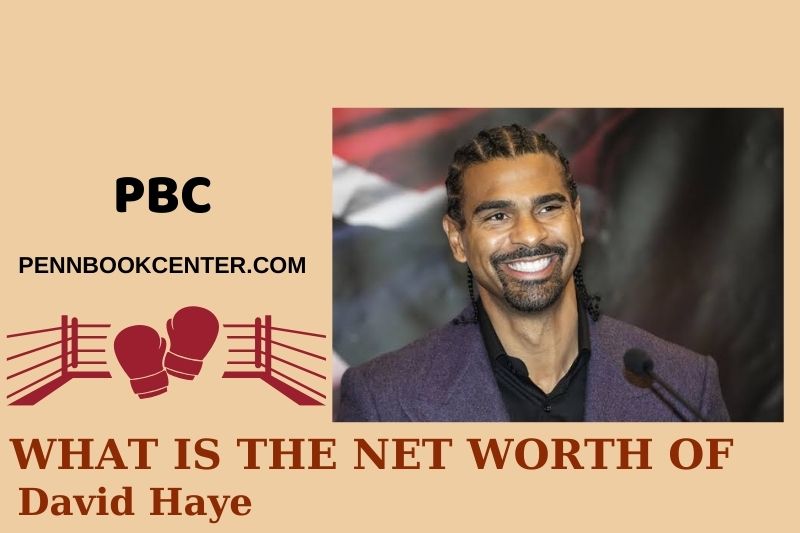 David Haye prosperity, salary and financial overview