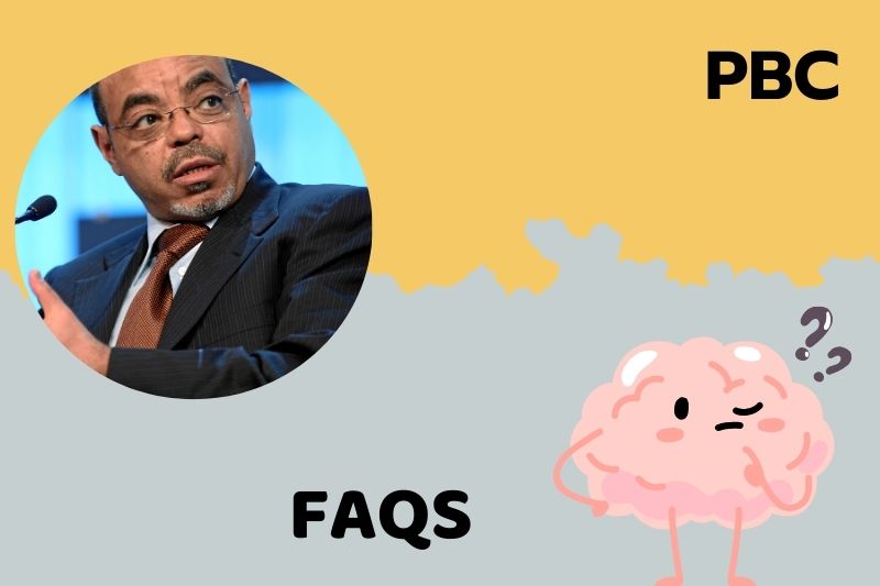 FAQs over Meles Zenawi