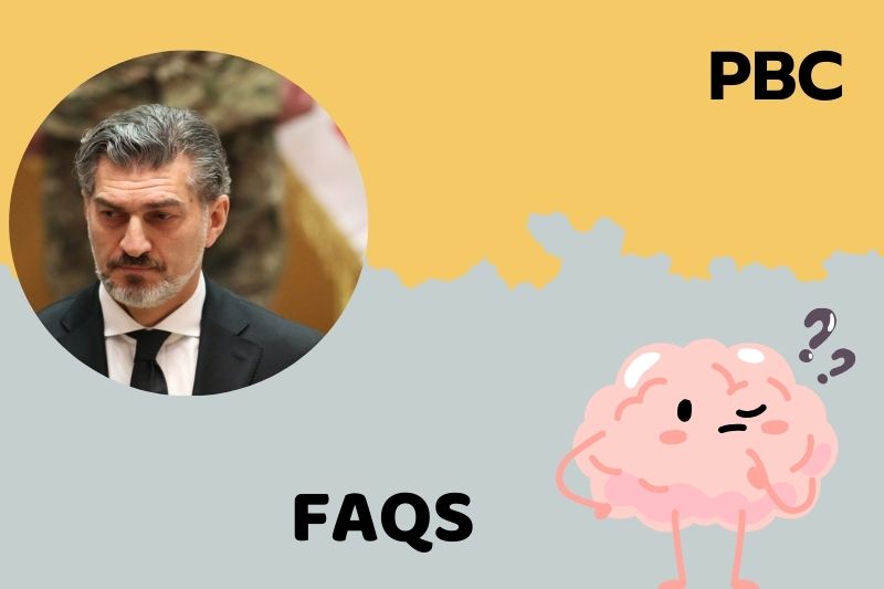 Faqs about Mikheil Kavelashvili