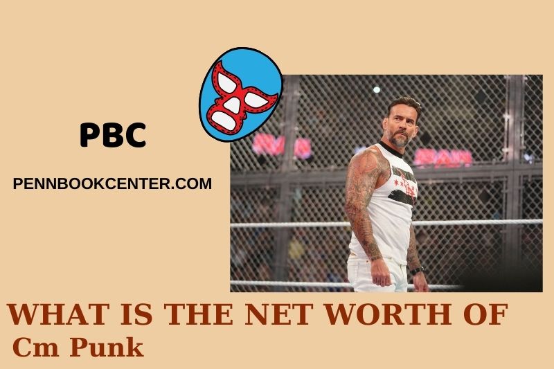 What is net assets of cm punk in 2024