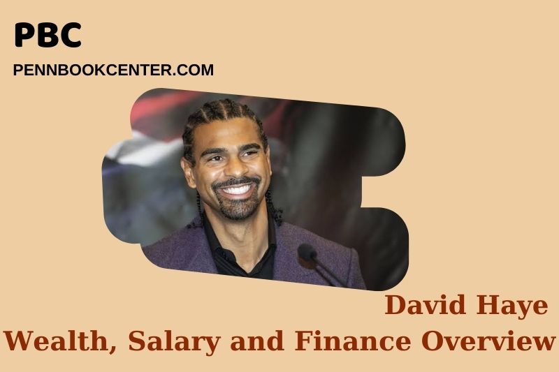 What is David Haye's net assets in 2024