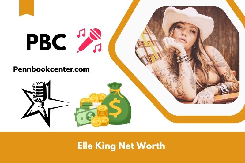 What is Elle King's net assets in 2024