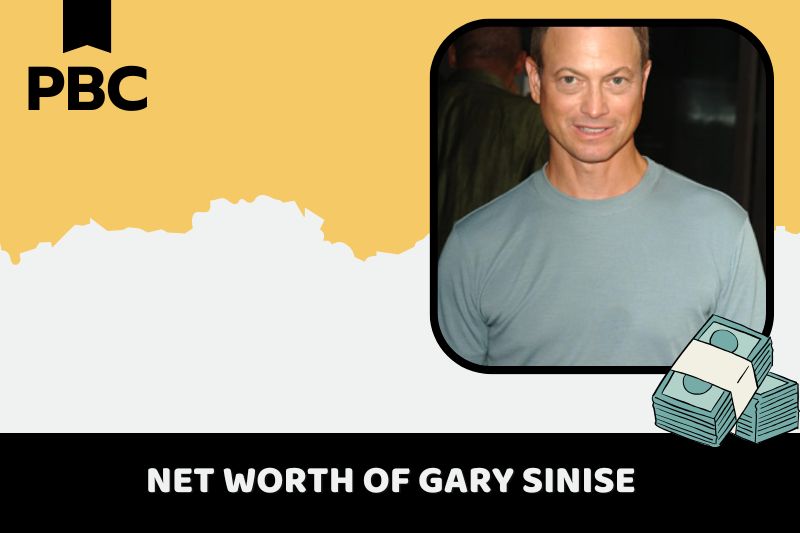 What is net assets of Gary Sinise 2024