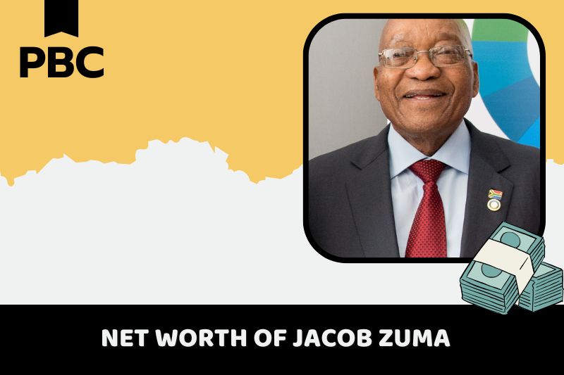 What is net assets of Jacob Zuma 2024