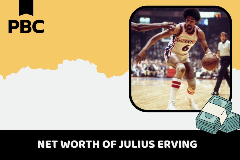 What is the net assets of Julius Erving2024