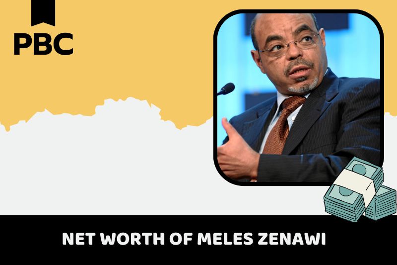 What is the net assets of Meles Zenawi 2024