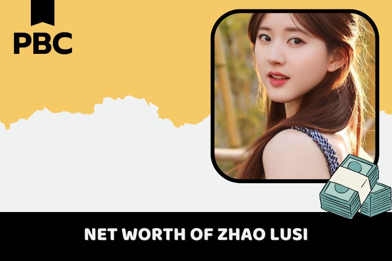 What is the net assets of Zhao Lusi 2024