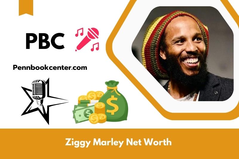 What is Netto -assets from Ziggy Marley in 2024