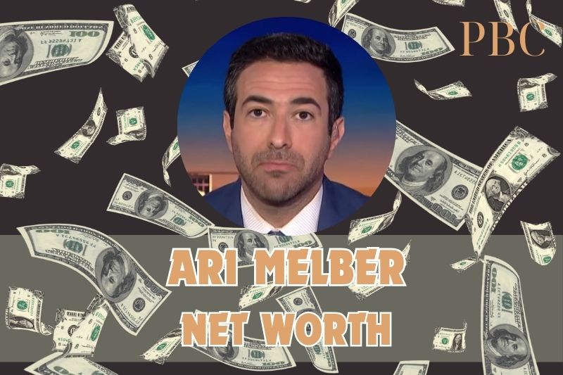 What is Ari Melber's net assets in 2024