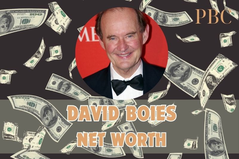 What is David Boies's net assets in 2024