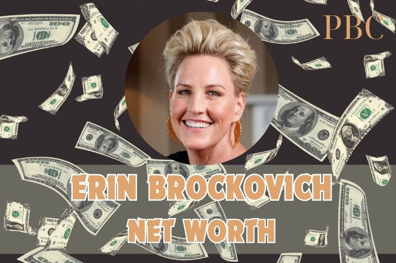 What is Erin Brockovich's assets in 2024