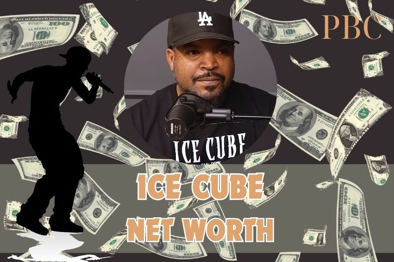 What is the net assets of ice cubes in 2024