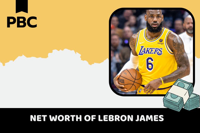 What is the net wealth of LeBron James 2024