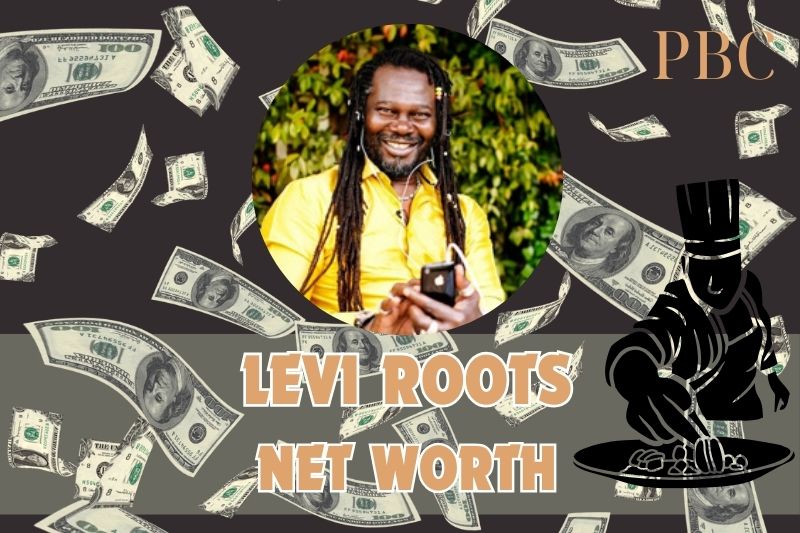 What is the net assets of Levi roots in 2024