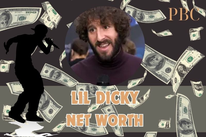 What is Lil Dicky's assets in 2024