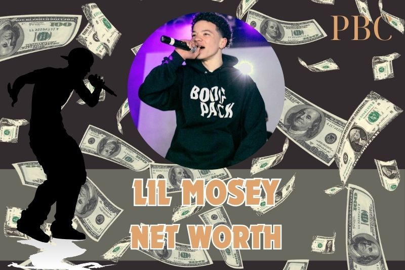 What is Lil Mosey's net assets in 2024