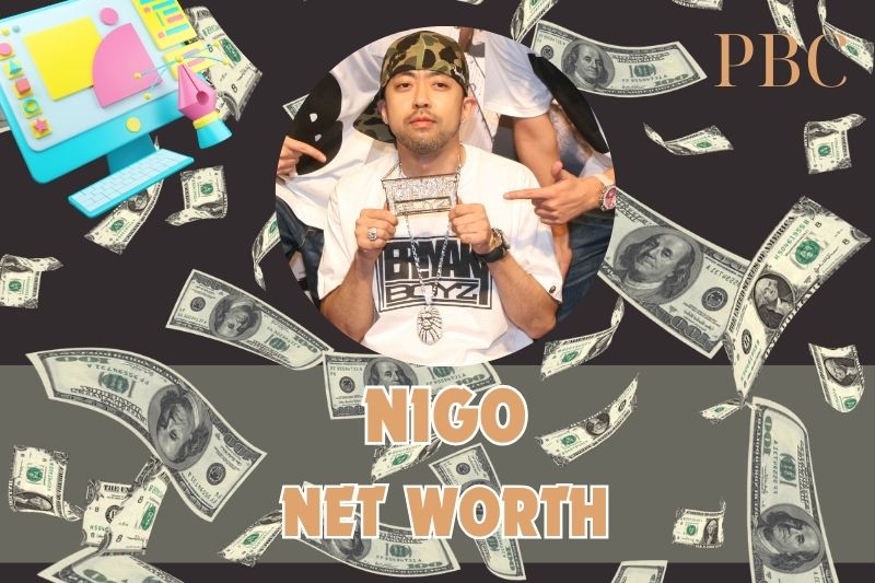 What is Nigo's net assets in 2024