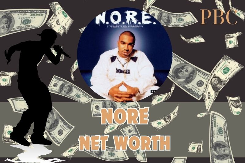 What is the net assets of Nore in 2024