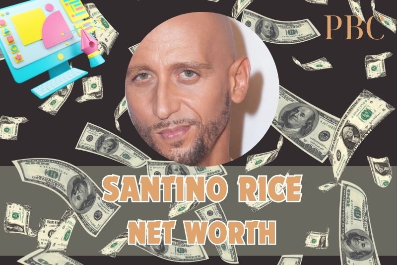 What is Santino Rice's net assets in 2024