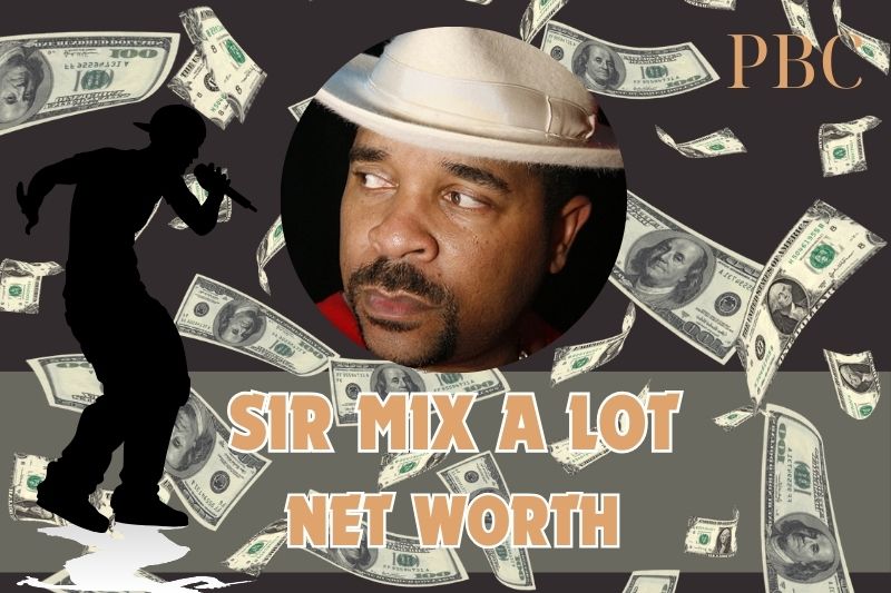 What is a lot of the net assets of Sir Mix in 2024