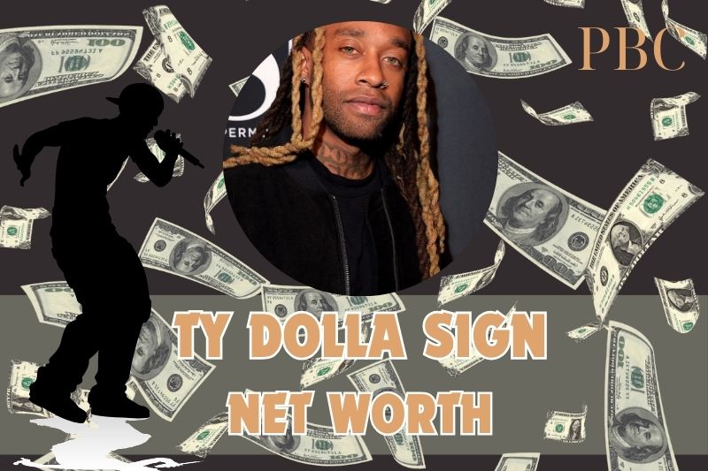 What is Ty Dolla's net assets in 2024