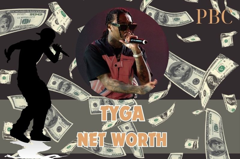 What is Tyga's net assets in 2024