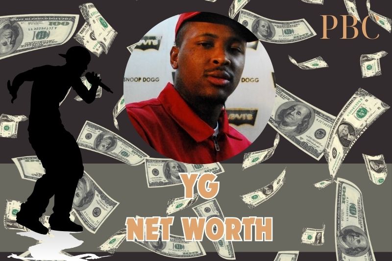 What is the net assets of YG in 2024