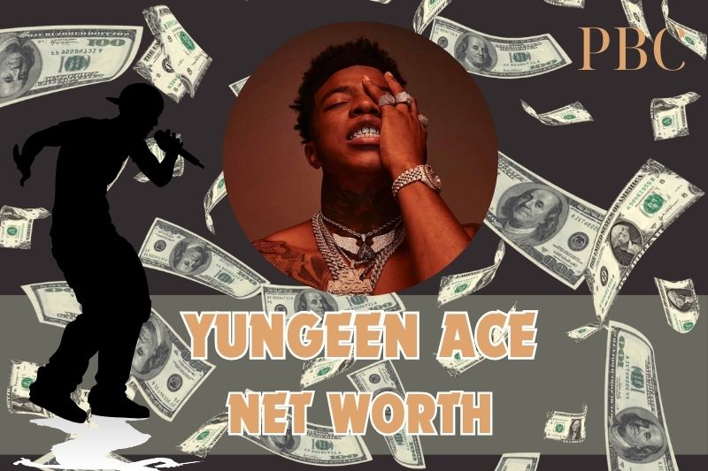 What is the net assets of Yunner Ace in 2024