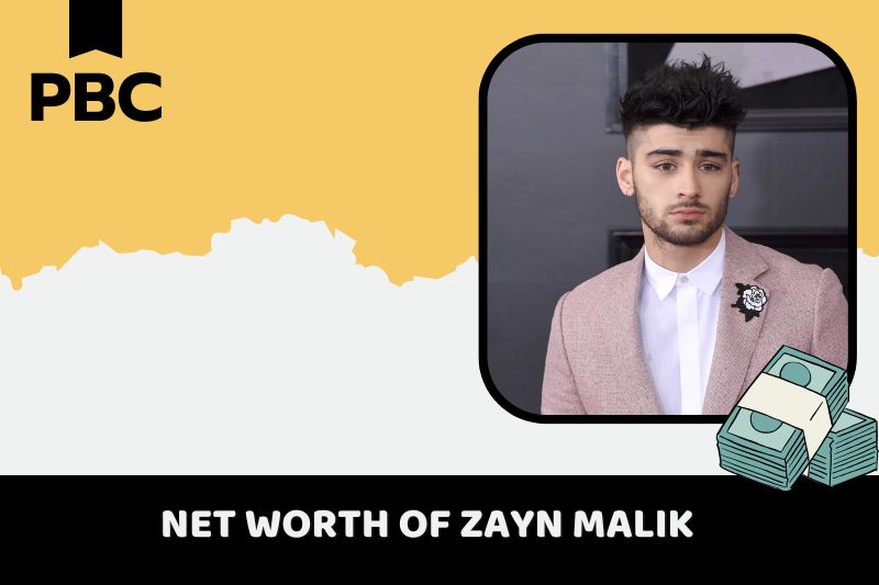 What is the net assets of Zayn Malik 2024