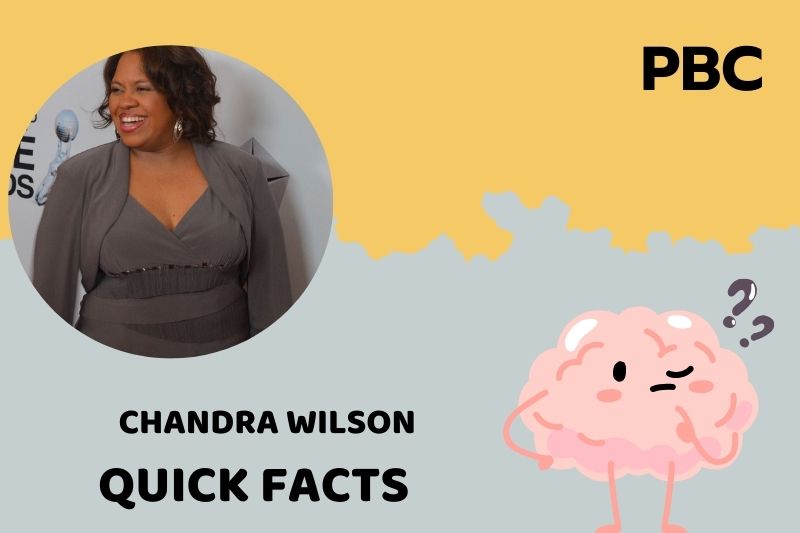 What is Chandra Wilson Net Worth 2025: Wealth, Salary, Career Overview