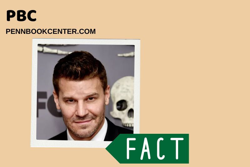 What is David Boreanaz Net Worth 2025: Salary, Wealth, and Financial Overview