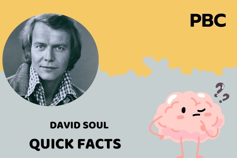 What is David Soul Net Worth 2025: A Deep Dive Into the Financial Success