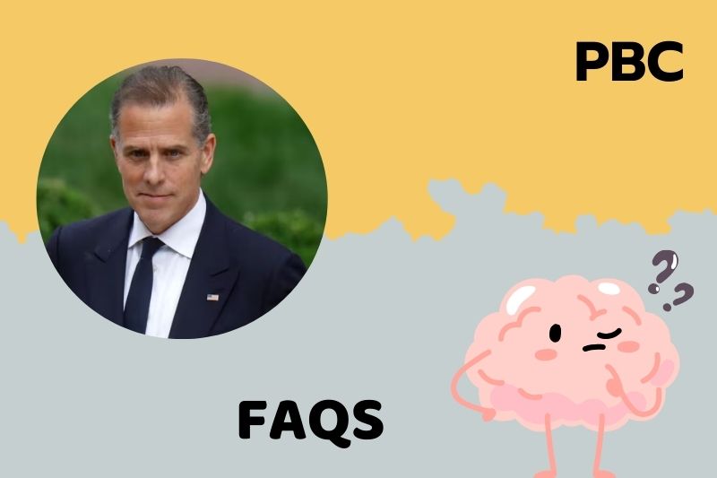 Faqs over Hunter biden