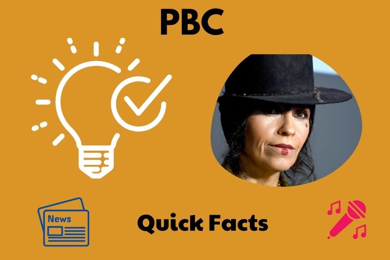 What is Linda Perry Net Worth 2025: How She Earns from Music & Business