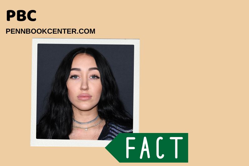 What is Noah Cyrus Net Worth 2025: Wealth, Salary, and Financial Breakdown