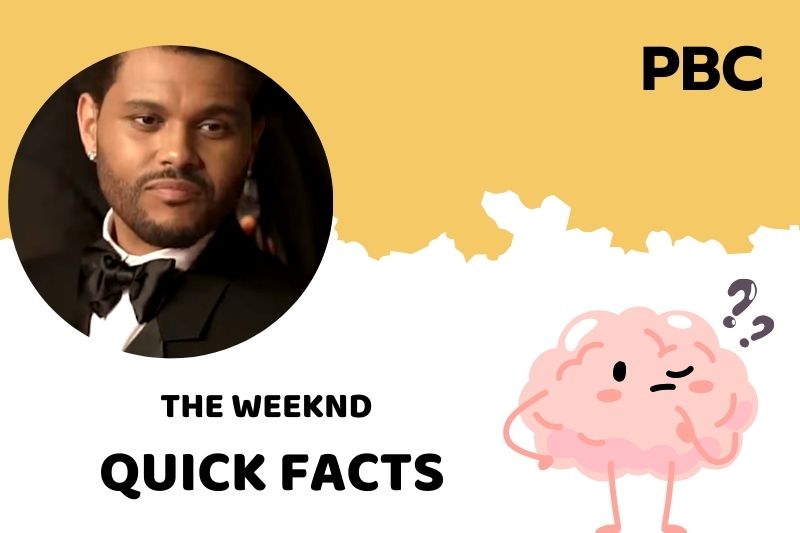 What is The Weeknd Net Worth 2025: Financial Success and Career Highlights