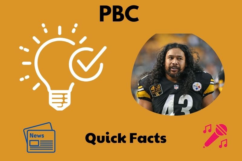 What is Troy Polamalu Net Worth 2025: Wealth, Salary & Financial Overview