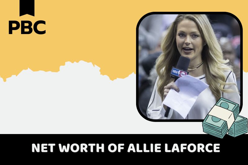 What is Netto -assets from Allie Laforce in 2024