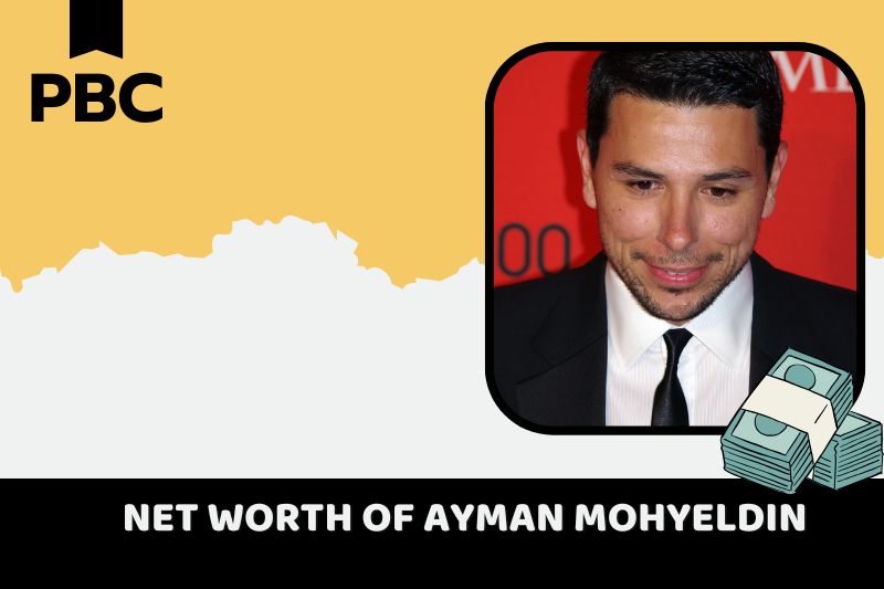 What is Ayman Mohyeldin's net assets in 2024