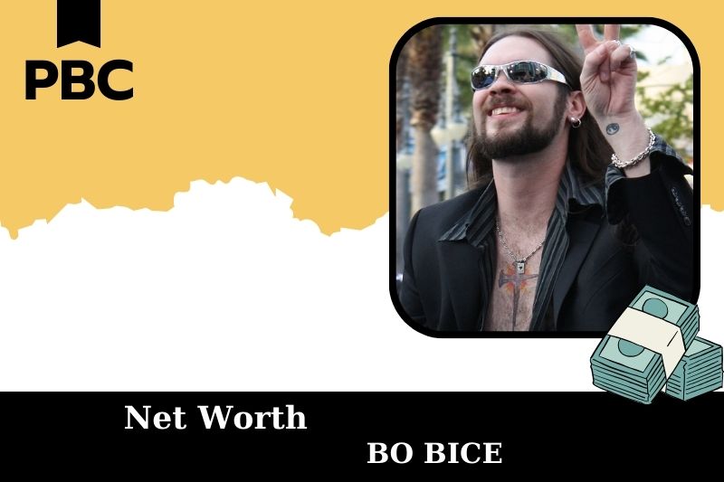 What is Bo Bice's net assets in 2025