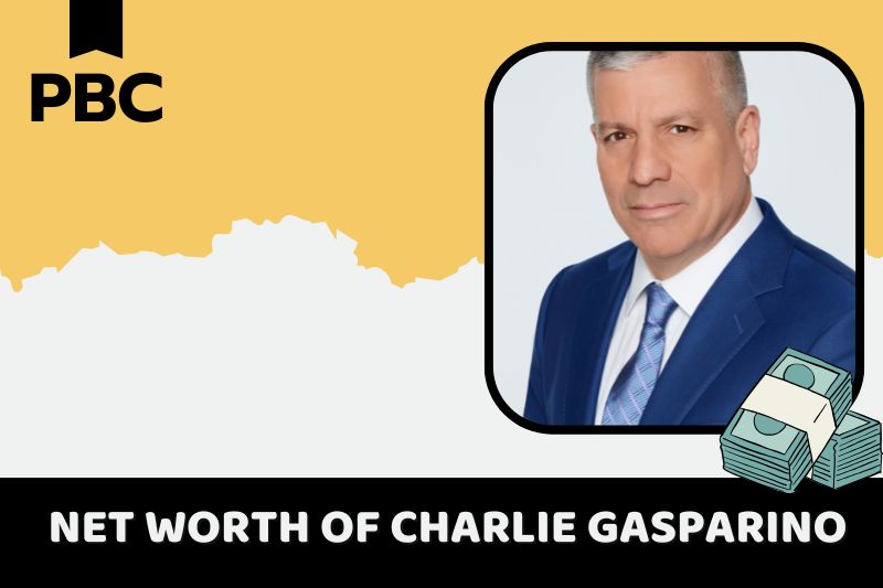 What is Charlie Gasparino's net assets in 2024