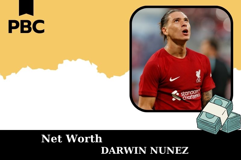 What is the net assets of Darwin Nunez in 2025