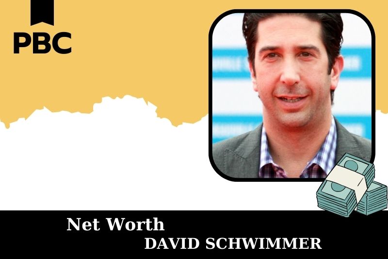 What is David Schwimmer's net assets in 2025