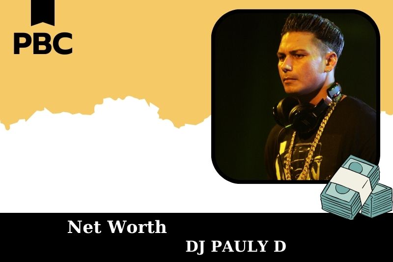 What is net assets of DJ Pauly D in 2025