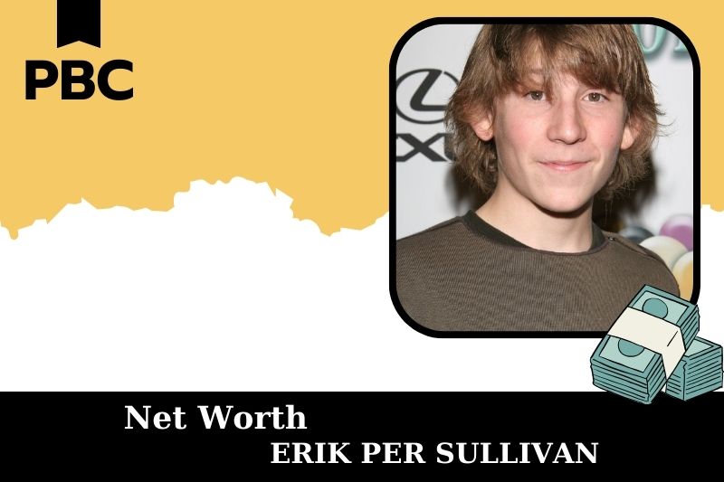 What is the net assets of Erik Pro Sullivan in 2025