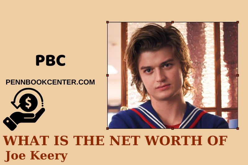 What is Joe Keery's net assets in 2025