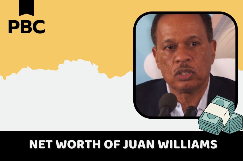 What is Juan Williams' net assets in 2024