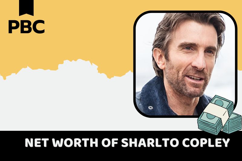 What is the net assets of Sharlto Copley in 2024