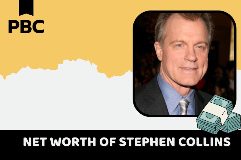 What is Stephen Collins' net assets in 2024